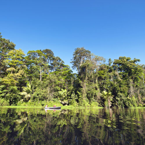 Grün, grüner, Costa Rica